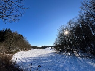 winter landscape with trees and snow