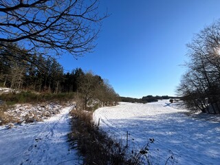 winter landscape with trees and snow