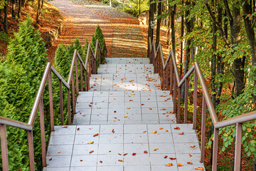A long outdoor staircase, lined with green foliage and trees, and scattered with autumn leaves