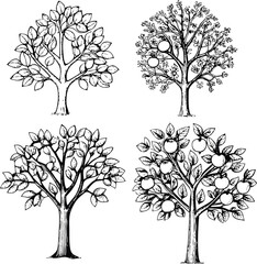 Four Hand Drawn Trees with Leaves Flowers and Apples in Black and White