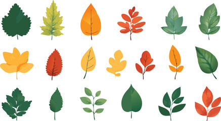 Collection of Colorful Autumn Leaves Isolated on White Background