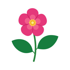 Primrose vector flower illustration spring botanical design