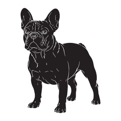 Featuring a distinct French Bulldog canine digital black silhouette - French Bulldog silhouette - French Bulldog Vector - Silhouette of French Bulldog - dog vector

