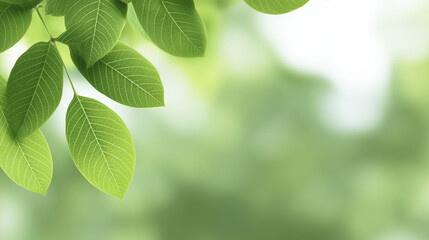 Green leaves with intricate veins are gently swaying in the breeze, creating a serene atmosphere, with a soft blurred background enhancing the natural beauty of the foliage