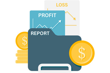 profit and loss report