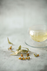 Brewed linden tea in teapot and cup on white background