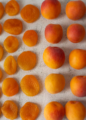 Apricot and dried apricot on a white background