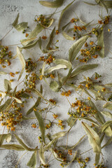 Dried linden inflorescences on white background