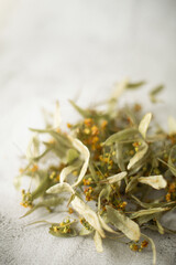 Dried linden inflorescences on white background