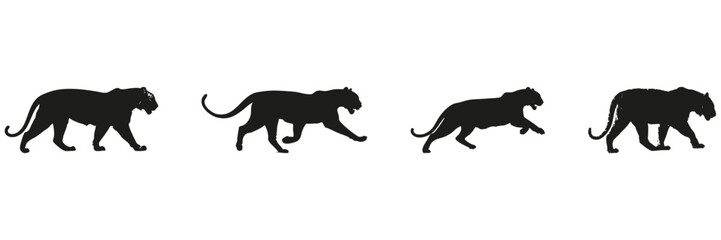 Wild Cat Silhouettes In Motion Set. Wildlife Observation And Animal Behavior Symbol Collection. Environmental And Educational Use. Isolated Vector Illustration
