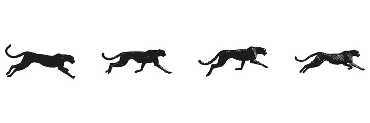 Fototapeta premium Cheetah Running Silhouette Set. Wildlife Speed And Motion Symbol Collection. Environmental And Educational Use. Isolated Vector Illustration