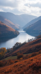 Lake District in Autumn England — Rolling Hills and Misty Lakes Painted in Bronze and Gold with Scattered Trees