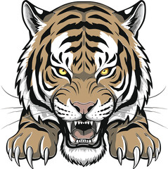 Fierce tiger cad drawing flat vector illustration, roaring wild animal with claws extended, dynamic pose, front view aggressive stanceFierce tiger cad drawing flat 