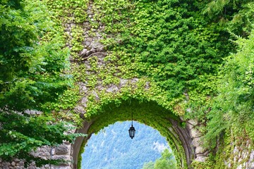 Ancient stone archway completely covered with lush green ivy, creating a natural tunnel. A hanging...
