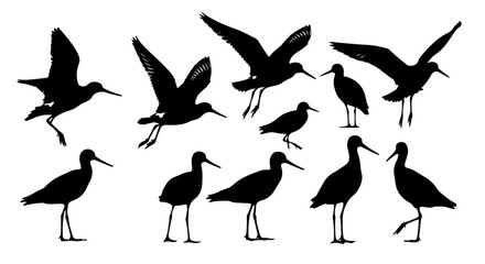 Graceful silhouettes of shorebirds in flight and standing create an elegant avian vector illustration.