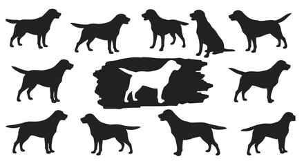 A charming collection of Labrador Retriever silhouettes showcases this breed in various poses against a contrasting backdrop.