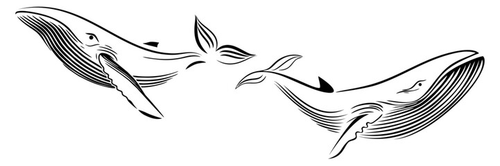 line art illustratiom background blue whale