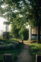 A cat sits in the yard at sunset