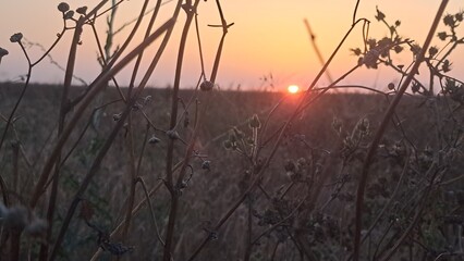 atardecer