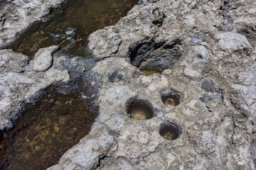 Guanche cazoletas on lava rock