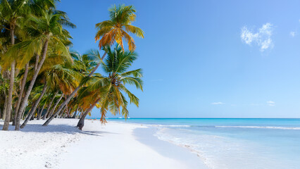 Vacation summer holidays background wallpaper - sunny tropical Caribbean paradise beach with white...