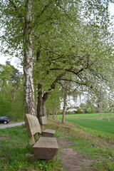  natur
