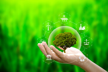 Hand holding a tree within a bubble, surrounded by ESG and sustainability icons, representing environmental protection, clean energy, and responsible corporate governance.
