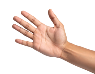 A detailed view of an open human hand, revealing the intricate lines and textures of the palm.