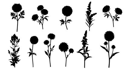 Elegant floral silhouette set with various wildflower and foliage elements for nature inspired designs