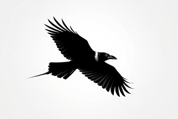 Obraz premium eagle silhouette vector