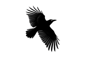 Obraz premium eagle silhouette vector