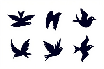 Obraz premium set of vector birds