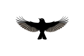 Fototapeta premium eagle in flight