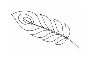 Elegant black peacock feather outline black and white © nidrarani