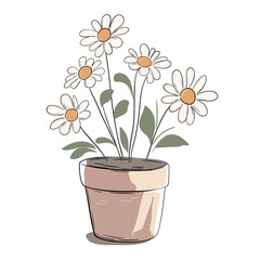Daisies in pot. Soft pastel marker sketch. Cozy and minimal botanical design.