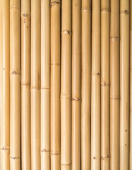 Fototapeta premium Light Brown Bamboo Poles Vertical Texture Background