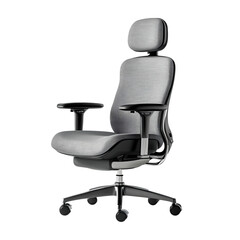 Ergonomic Office Chair Modern Design Superior Comfort Excellent Support isolated on transparent background