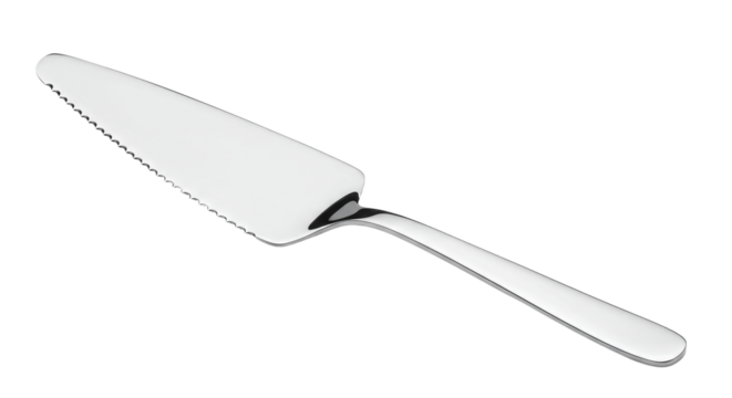Elegant Silver Cake Server Isolated 1.