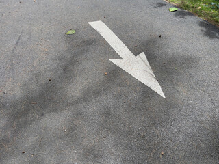 Arrow sign on the road with shadow of tree on the ground