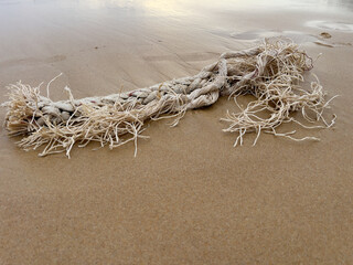 Rope on the beach at low tide, closeup of photo