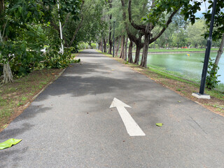 Bicycle path in the park with white arrow on the road.