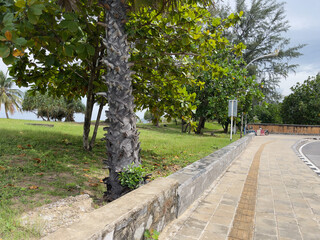 Tropical Park in the City, Thailand