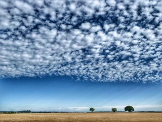Ciel bleu et nuages moutonneux 
