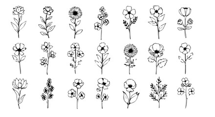 Botanical sketches present a delicate collection of varied floral elements, perfect for nature-inspired designs and classic illustrations, silhouette