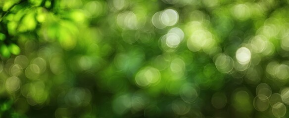 Obraz premium The soothing green bokeh effect of natural foliage in sunlight.