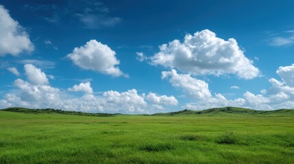 Landscape view of green grass field with blue sky background