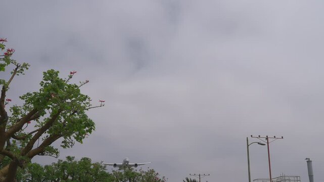 A Boeing 787 Dreamliner approaches the runway during landing at Los Angeles International Airport over approach lights and trees