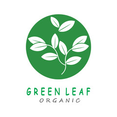 Green leaf icons design