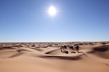 Caravan Crossing the Sahara Desert Under the Blazing Sun