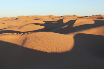 Caravan Crossing the Sahara Desert Under the Blazing Sun
